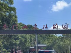 -凤岗南门山森林公园