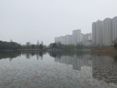 -洋湖国家湿地公园