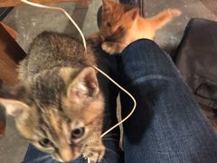 -时光转角咖啡馆(西康路店)