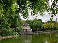 -金花茶公园