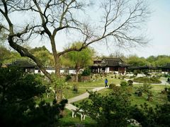 -盆景园(扬州大运河文化旅游度假区)