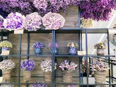 -L.C FLORA花予你(城西银泰城店)