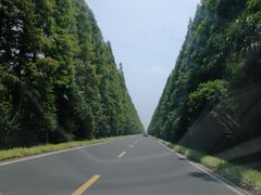 -黄海国家森林公园