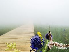 -白草畔自然风景区