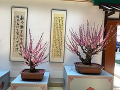 -无锡梅园公园