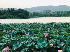 -江南大学(蠡湖校区)