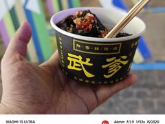 -武爹臭豆腐(坡子街店)