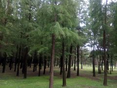 -蜀冈西峰生态公园