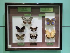 -上海昆虫博物馆