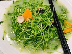 -花溪雨·森林餐厅(石基店)