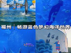-左海海底世界