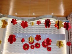 -SILKTONE诗丽堂美容