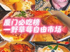 -野草莓自由市场