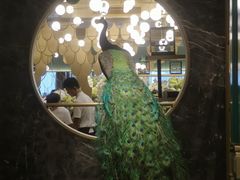 -雀蓝川菜(奥体广场店)