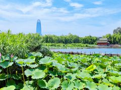-济南大明湖景区