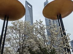 -陆家嘴中心绿地