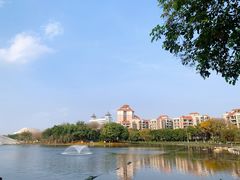 -映月湖公园