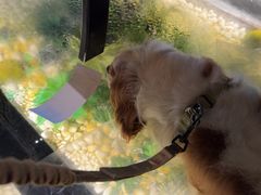 -园里火锅(仁和新城店)