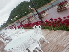 android_upload_pic-千岛湖品鱼馆(钓鱼岛店)