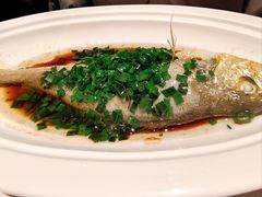 -三利音·玖弄小鲜(浦东嘉里城店)