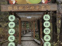 -大岭沟猕猴桃谷风景区