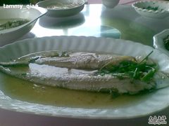 20100411(004)-东宇酒家(凌白路店)