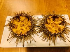 生海胆-海胆小馆(东北水饺·春柳店)