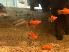 -东棠花园餐厅(湖工大店)