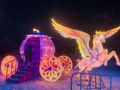 -沈阳奥体冰雪嘉年华