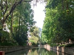 -运河游船(武林门码头)