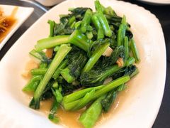 猪油渣菜心-美极鲜食坊(宝安南路店)