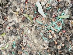 -上海市保健医疗中心