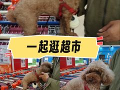 -世纪联华超市(浦电路店)