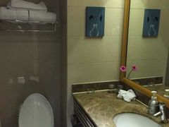 -上海虹梅嘉廷酒店