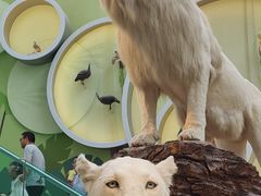 -陕西自然博物馆