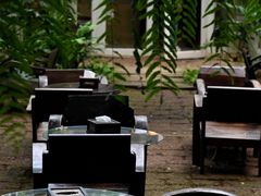 -Fern Forest Cafe