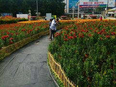 -绵阳人民公园(涪城区)