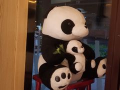 -ZOO COFFEE动物园咖啡(望京锐创店)