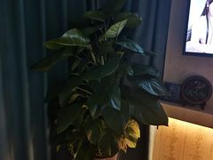 -怡心阁·水疗SPA(天府广场店)
