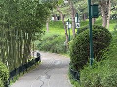 -皇家御河游(紫御湾码头)