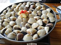 -顺德哥卜卜贝(旗舰店)