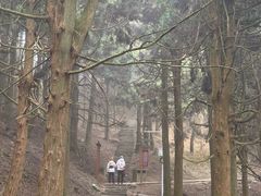 -南岳衡山风景名胜区