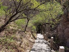 -北京凤凰岭