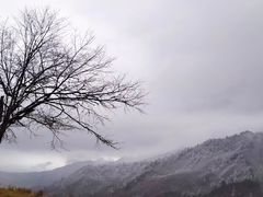 -硗碛藏寨·神木垒景区