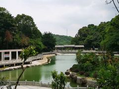 -广州市帽峰山景区