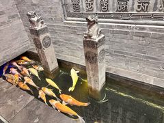 -唐山宴百姓府邸院落中餐