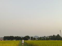 -光明小镇欢乐田园