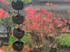 -杭州上天竺法喜讲寺