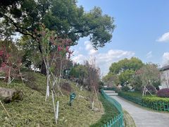 -乌山风景区