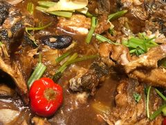 -老板恋上鱼(恒隆广场店)